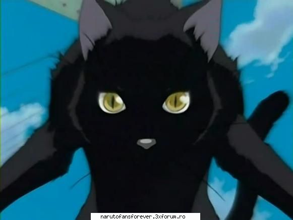 cute... shihouin yoruichi